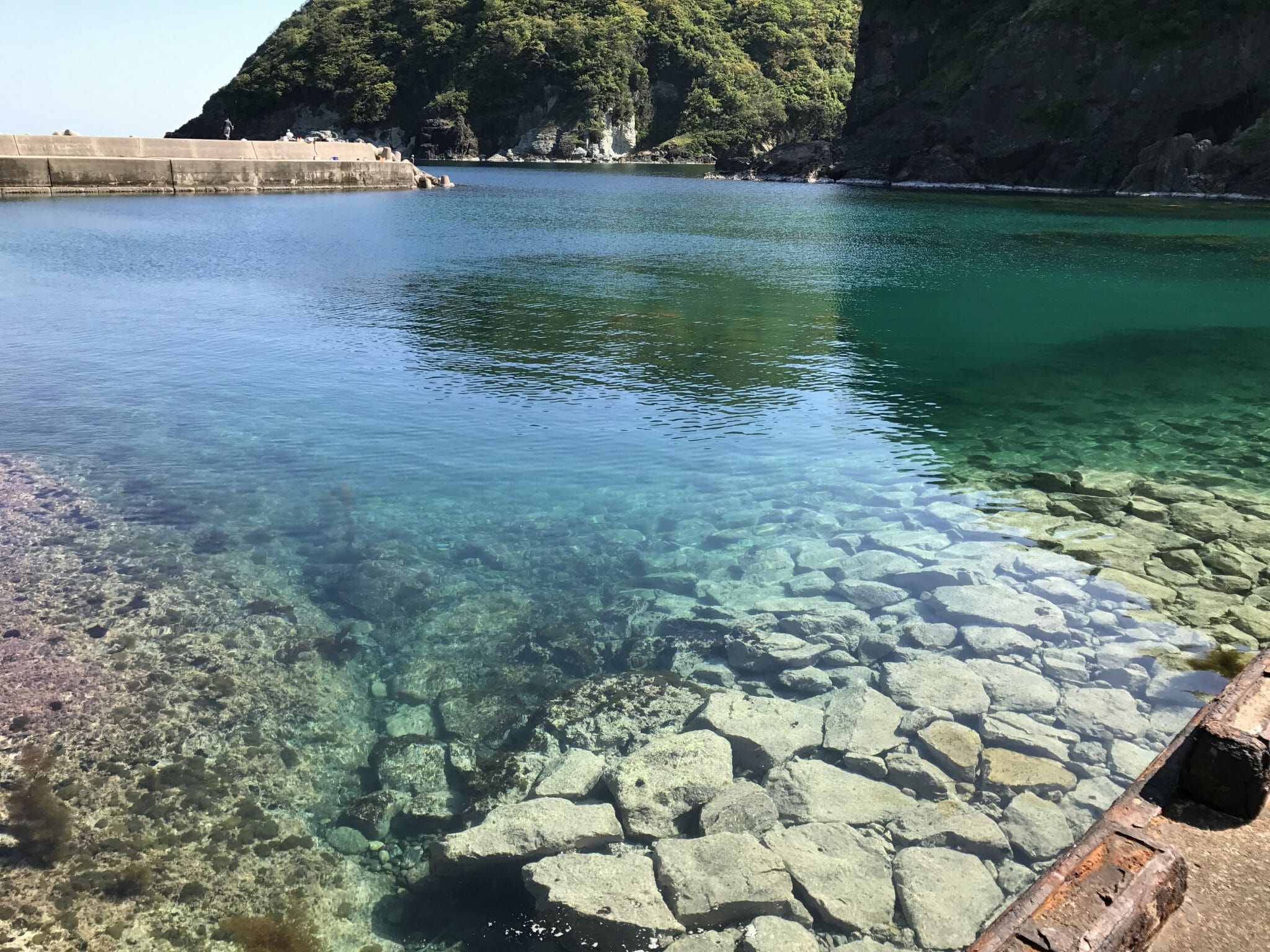 5か月ぶりとなる釣行で、名古屋在住の僕が鳥取へエギング。